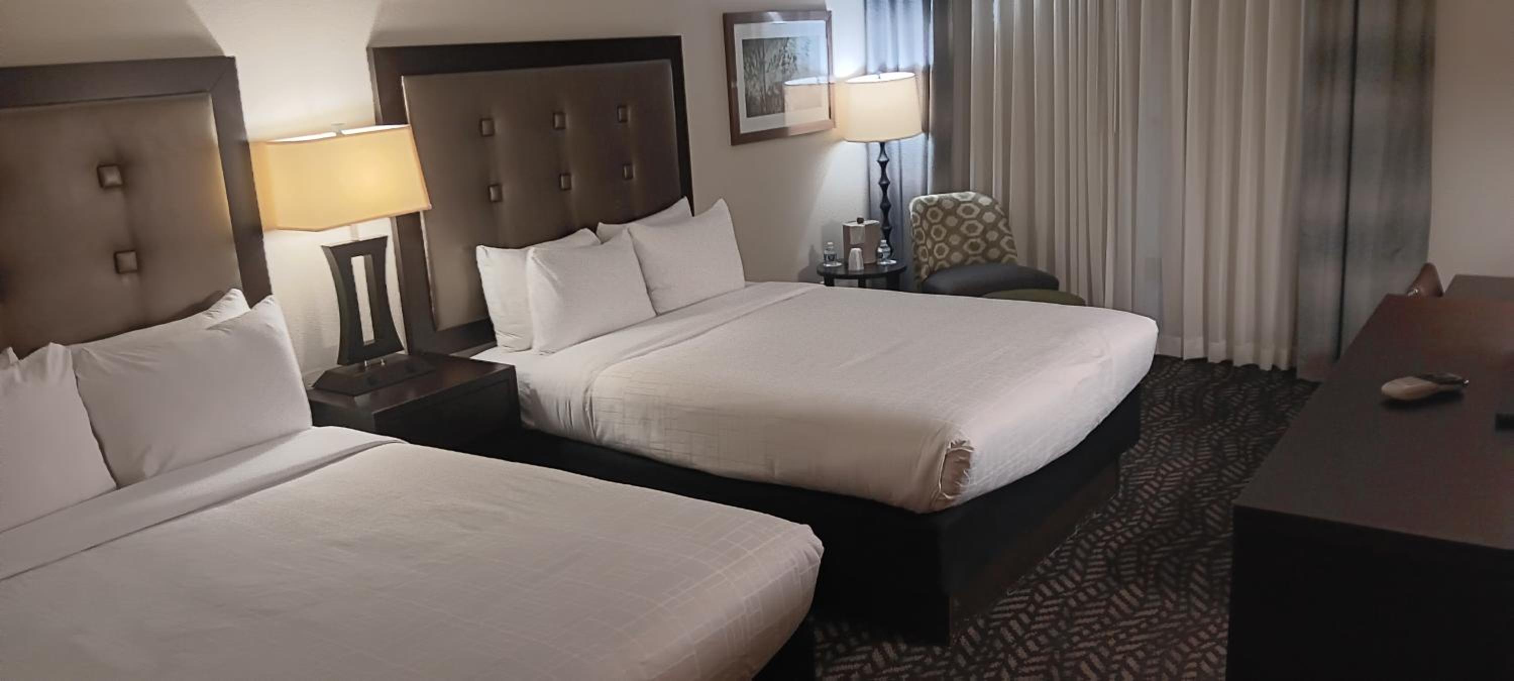 Room, Queen Bed, Executive Level