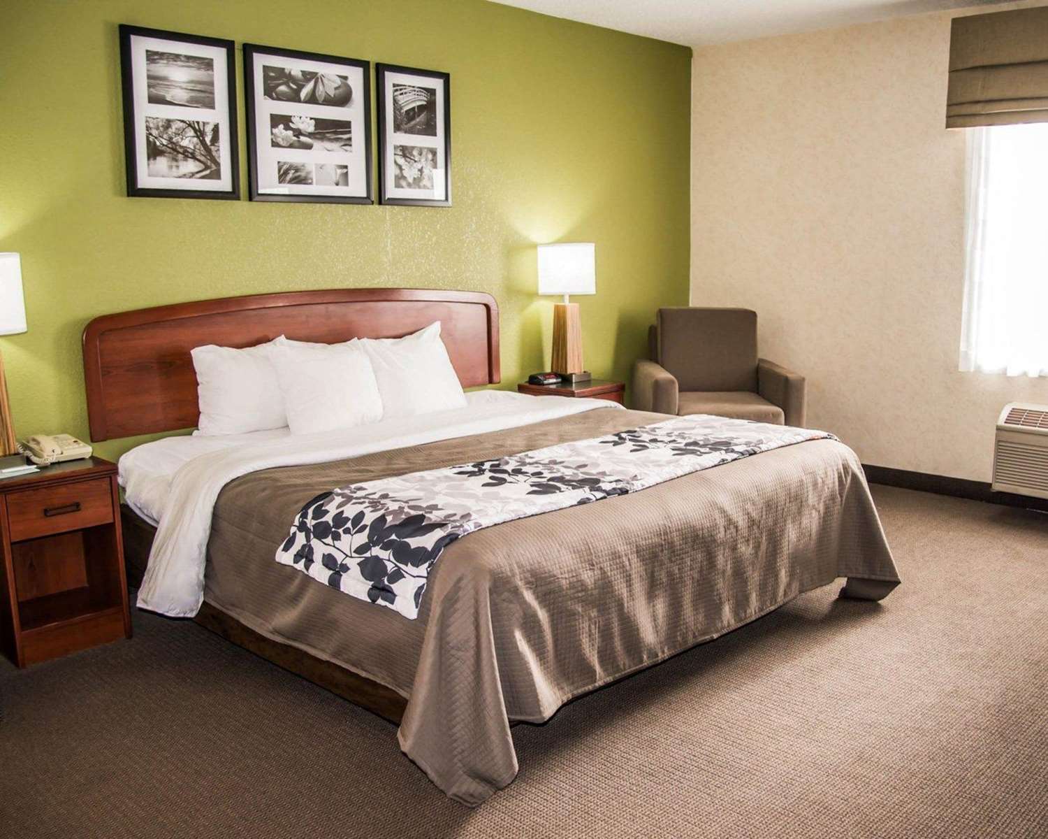 Sleep Inn & Suites Allendale, MI 7/16