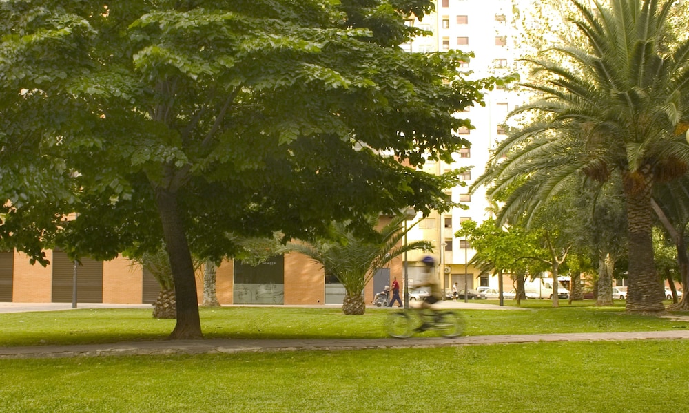 Apartamentos Plaza Picasso 62/71