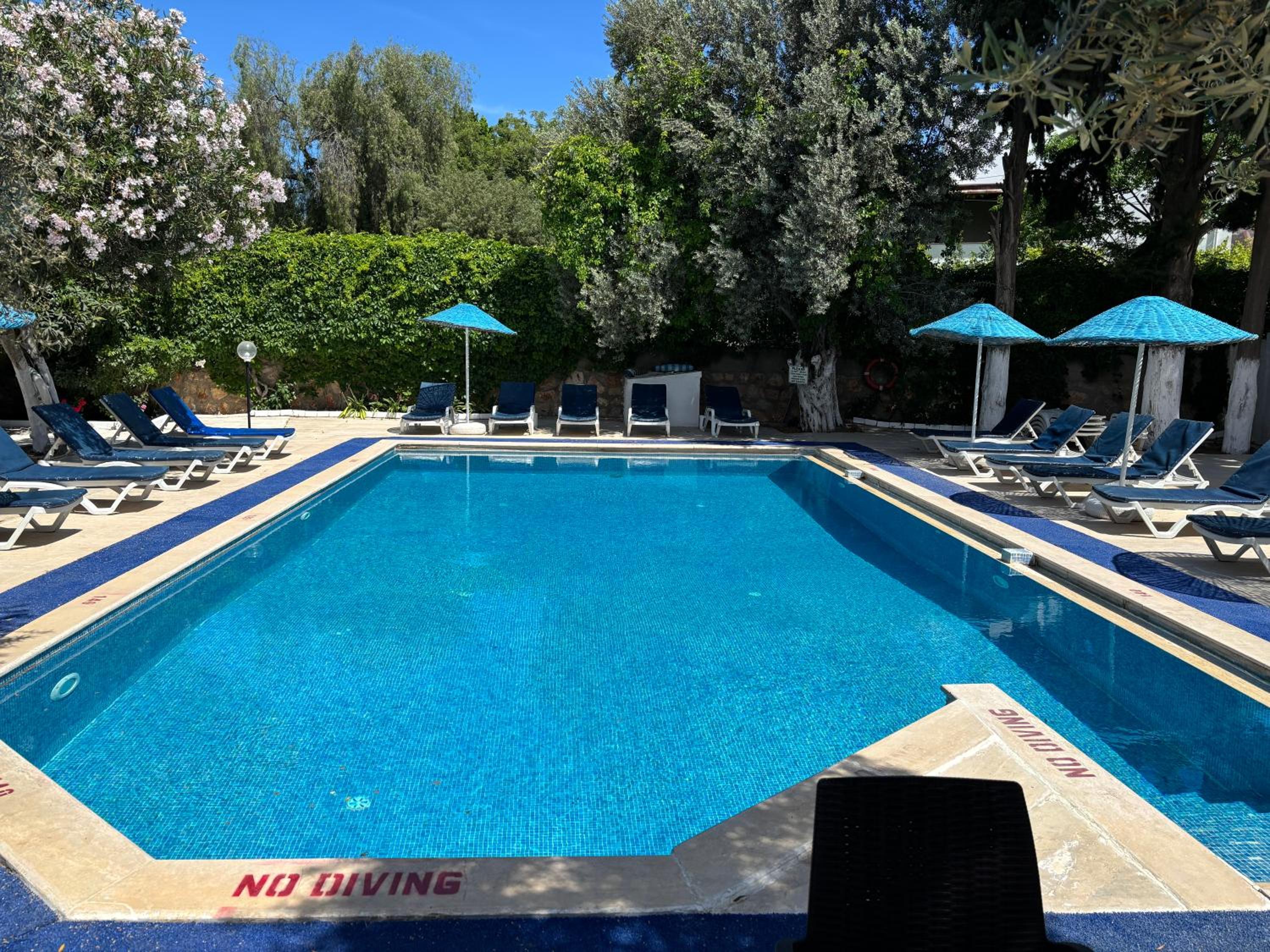 Ali Baba Hotel 31/55
