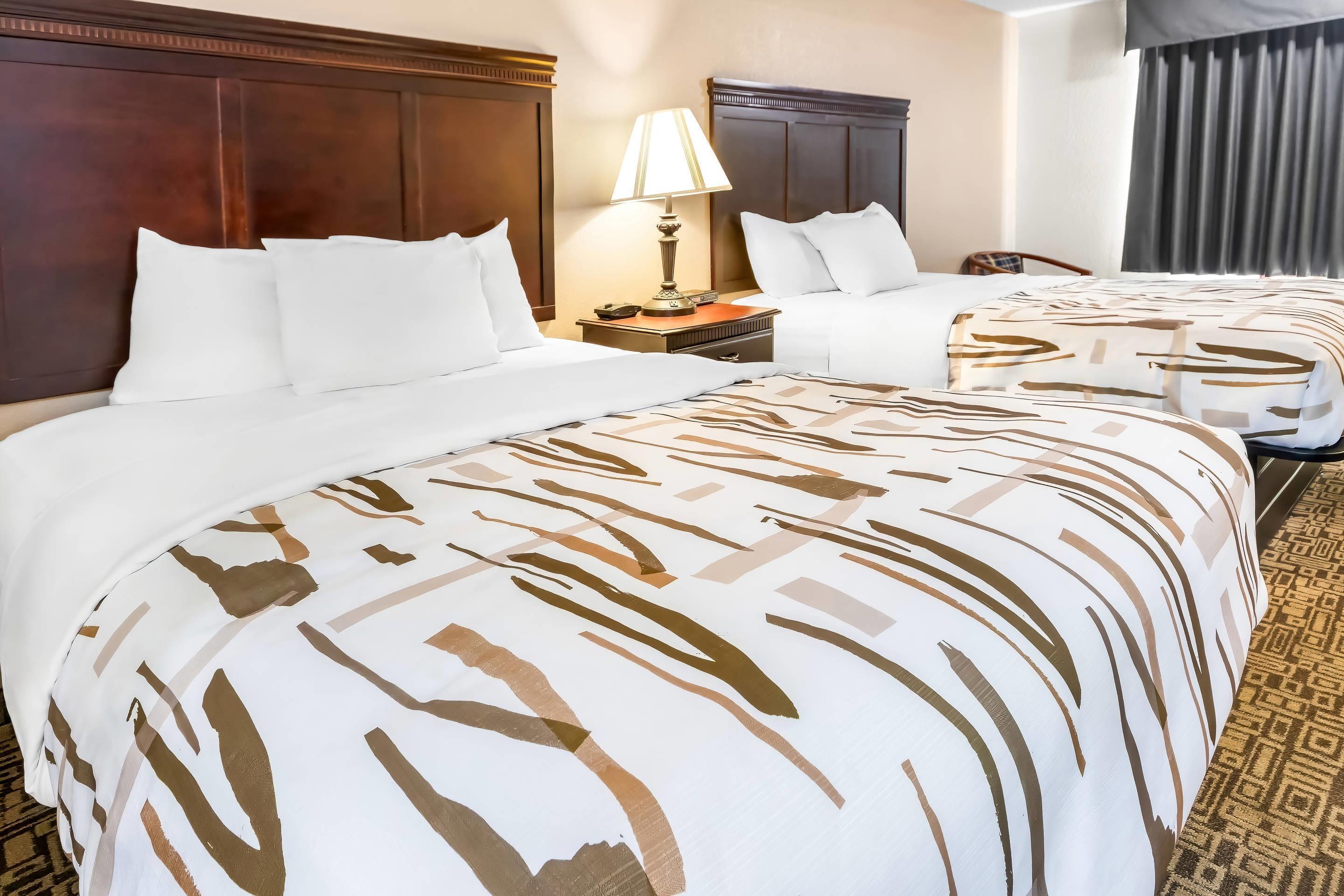 Room, Queen Bed