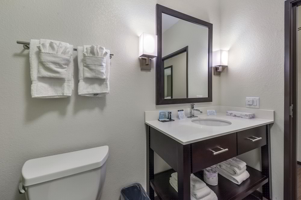 Sleep Inn and Suites Fort Worth Fossil Creek 21/44