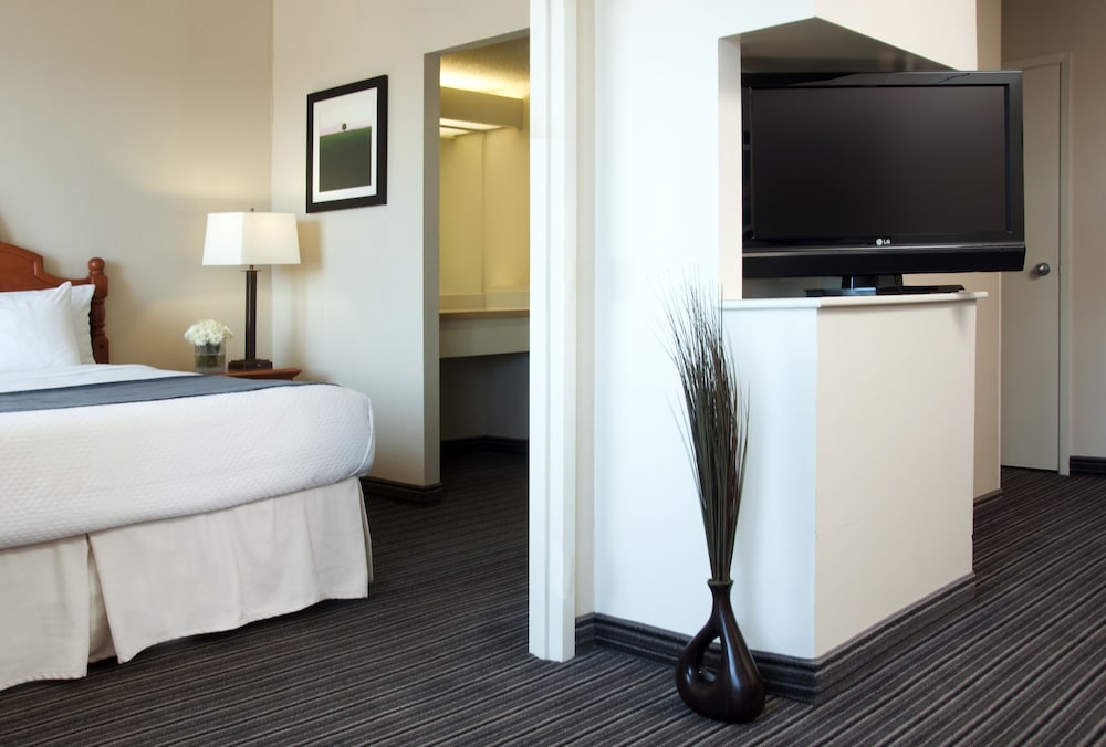 The Simon Hotel Sydney 16/53