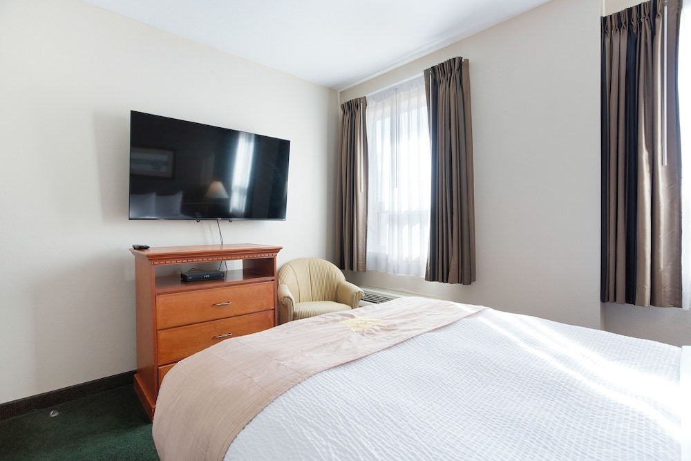 Lakeview Inn & Suites 20/60