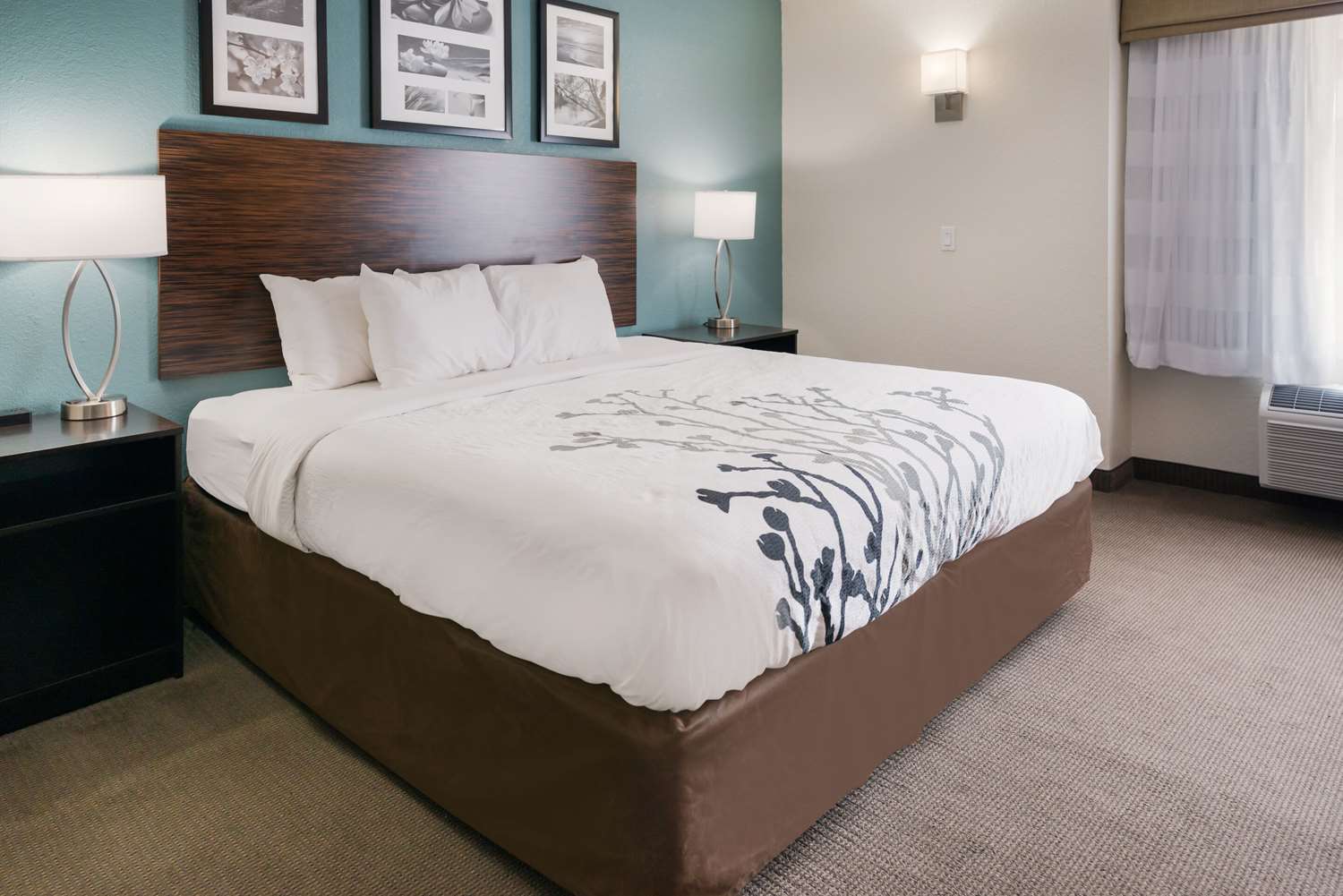 Room, King Bed