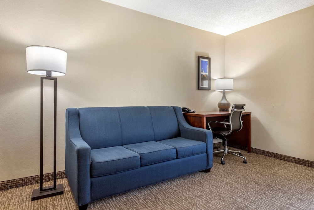 Comfort Inn Charlotte Airport Uptown 23/40