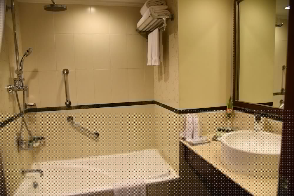 Radisson Hotel Varanasi 18/73