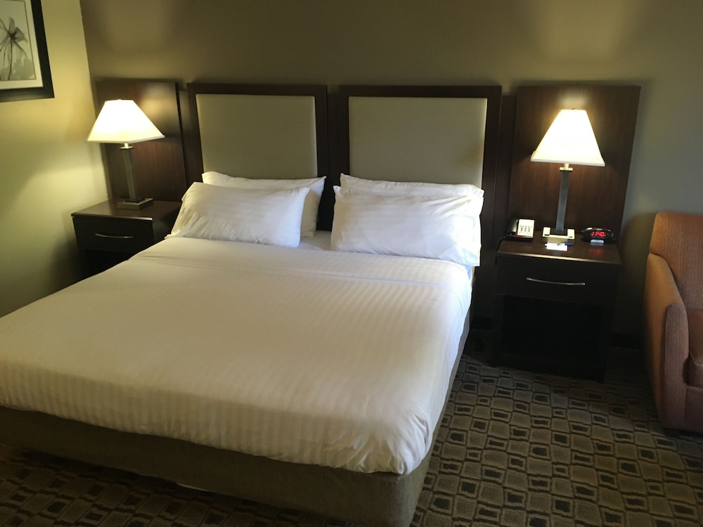 Holiday Inn Express Suites Albemarle 14/51