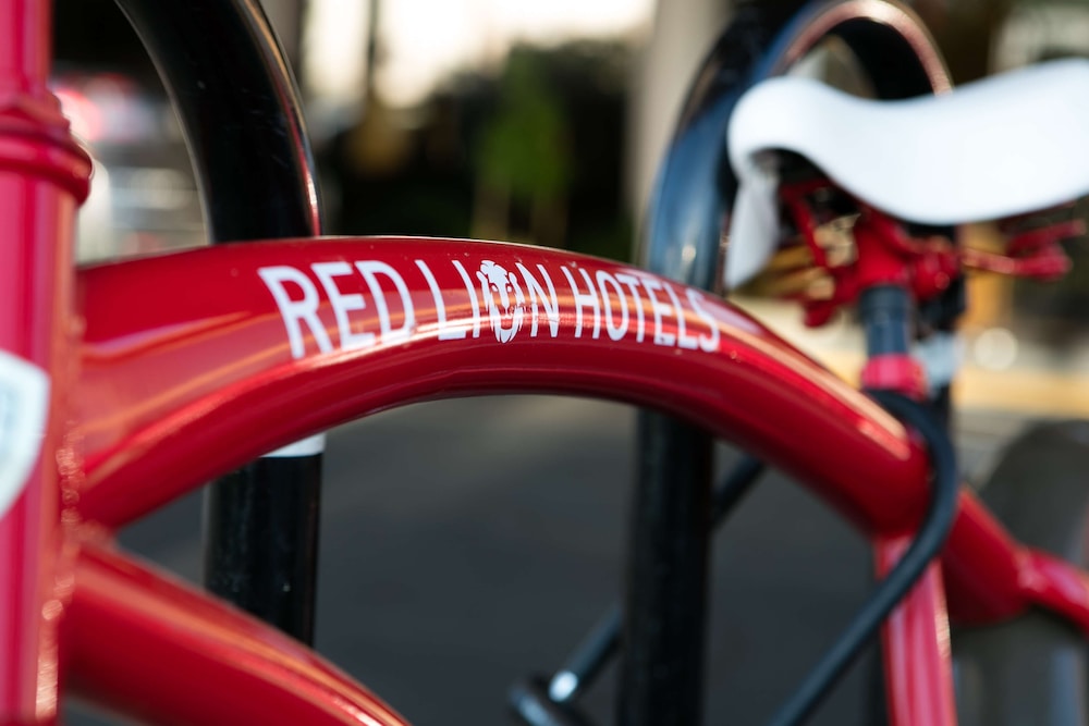 Red Lion Redding 38/63