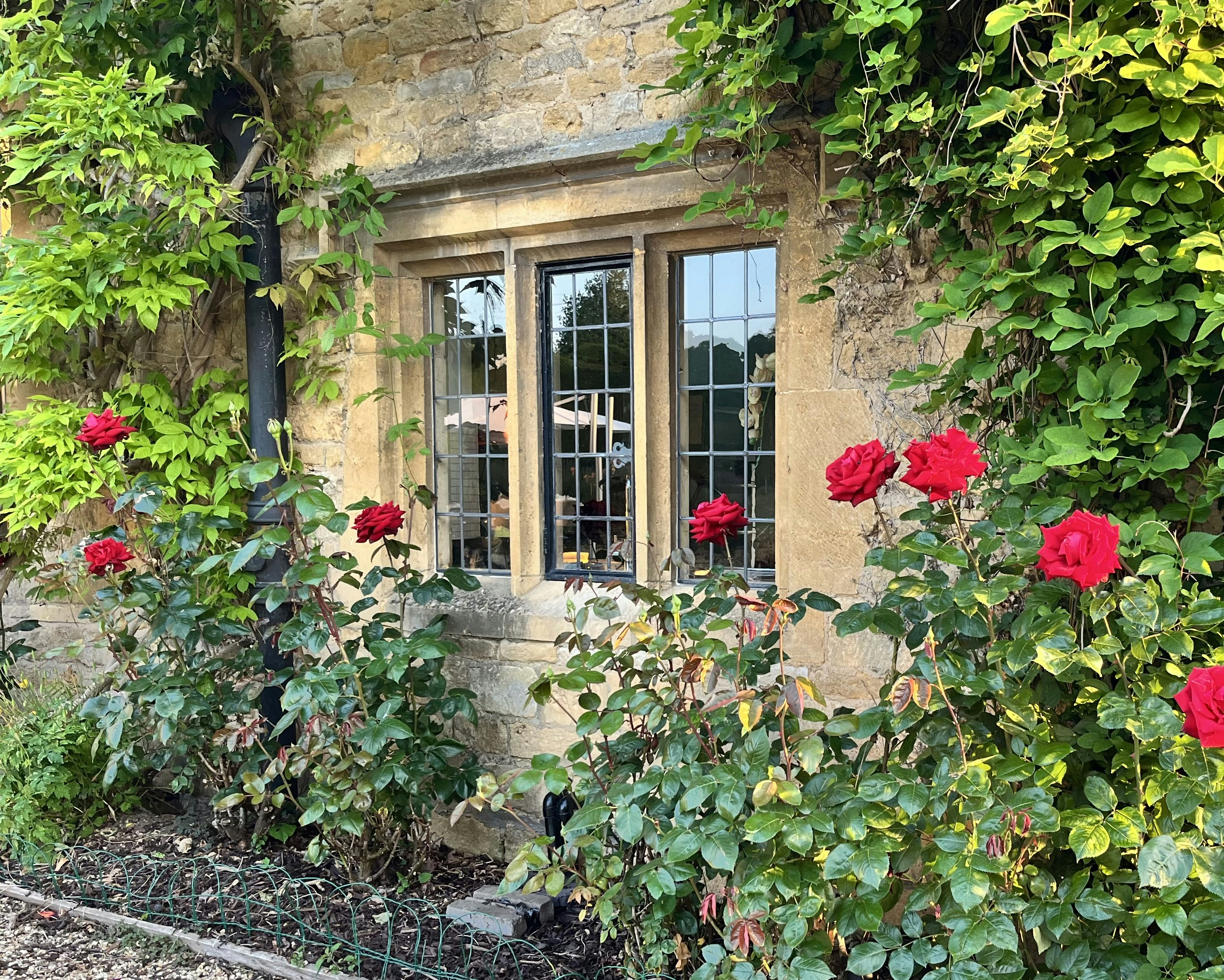 Abbots Grange 44/52