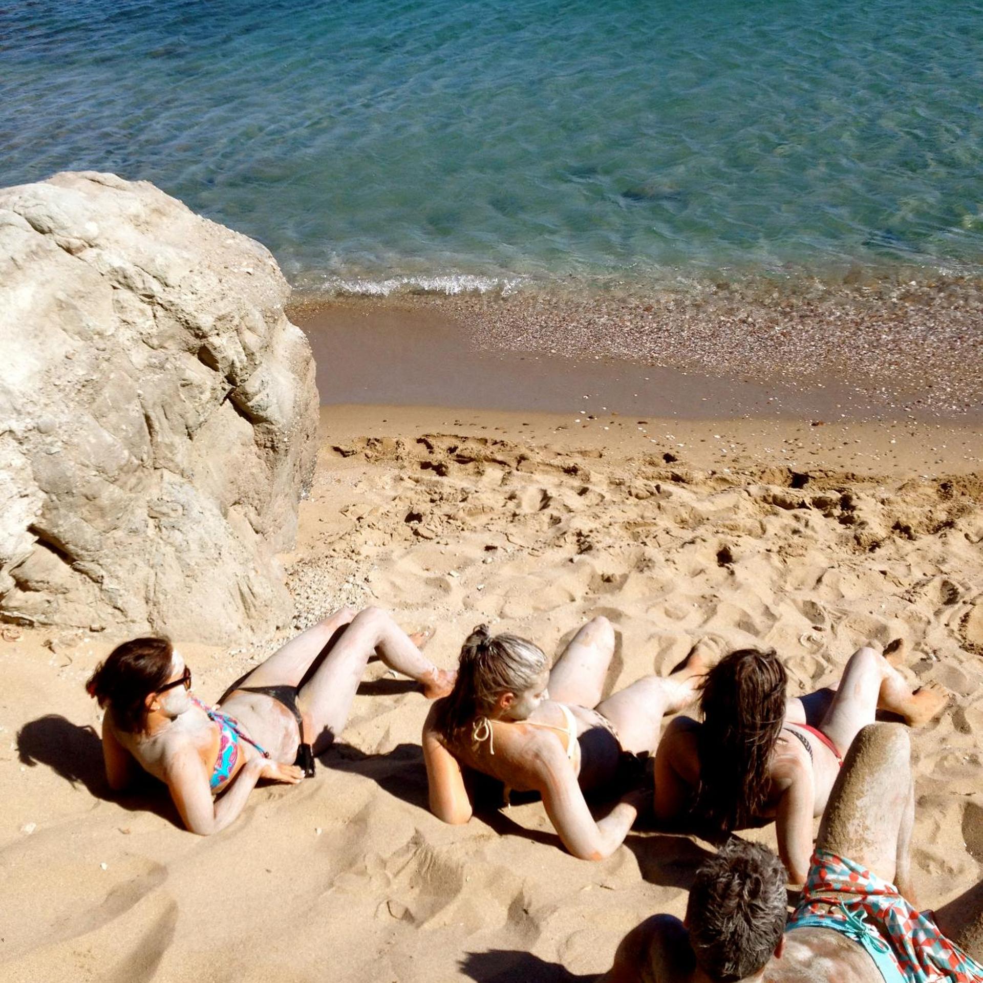 Anemones Studios 81/100