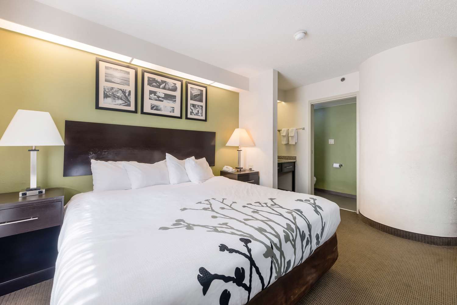 Studio6 Suites - Knoxville, TN - Downtown 18/35