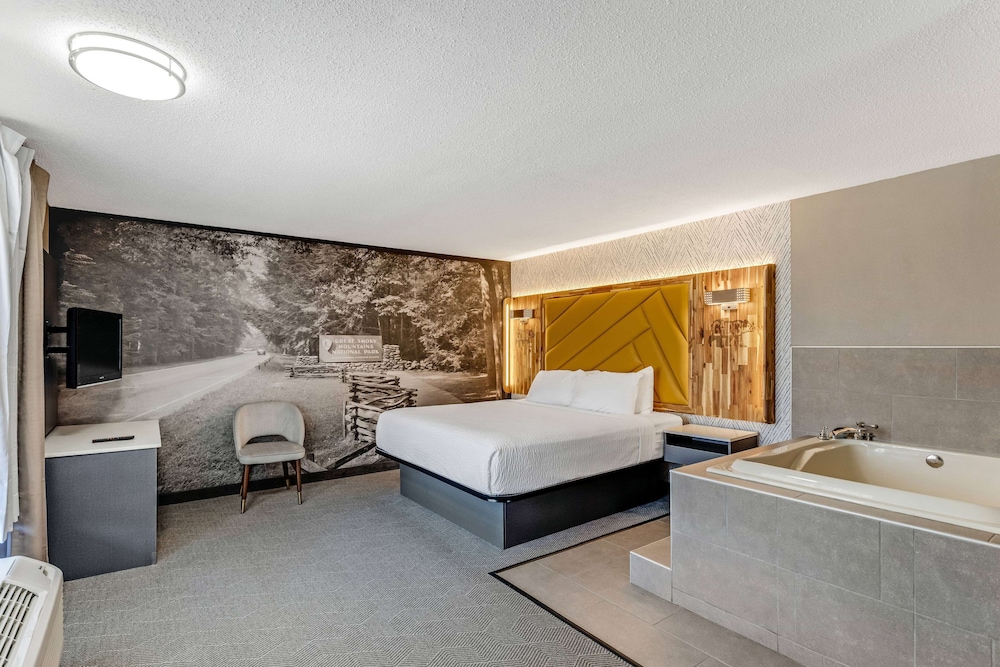 The Wander Hotel, a Ramada by Wyndham 31/52