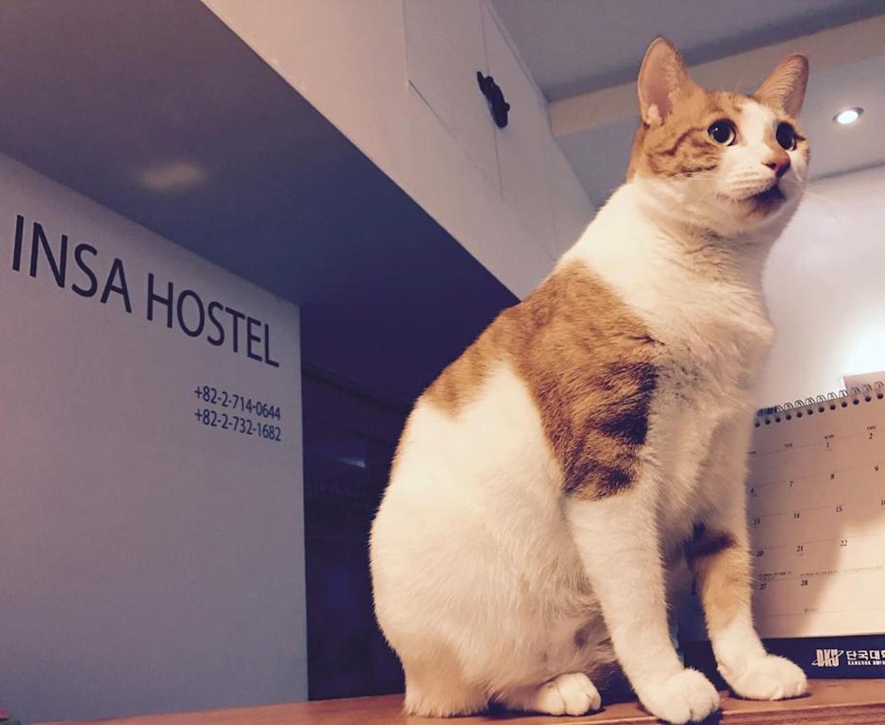 Insadong Hostel 40/72