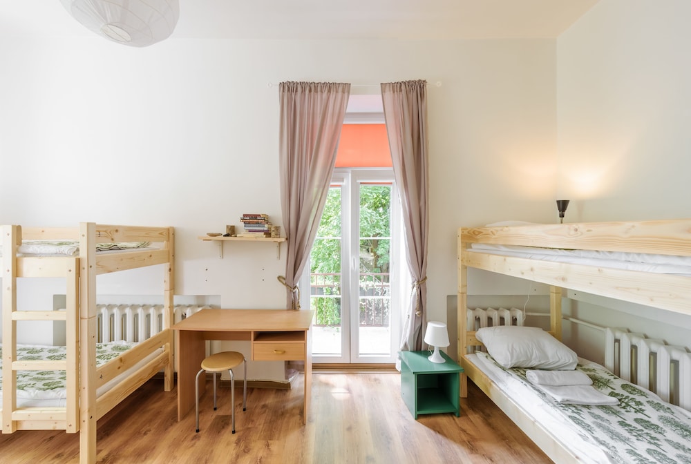 Downtown Forest Hostel & Camping 22/50