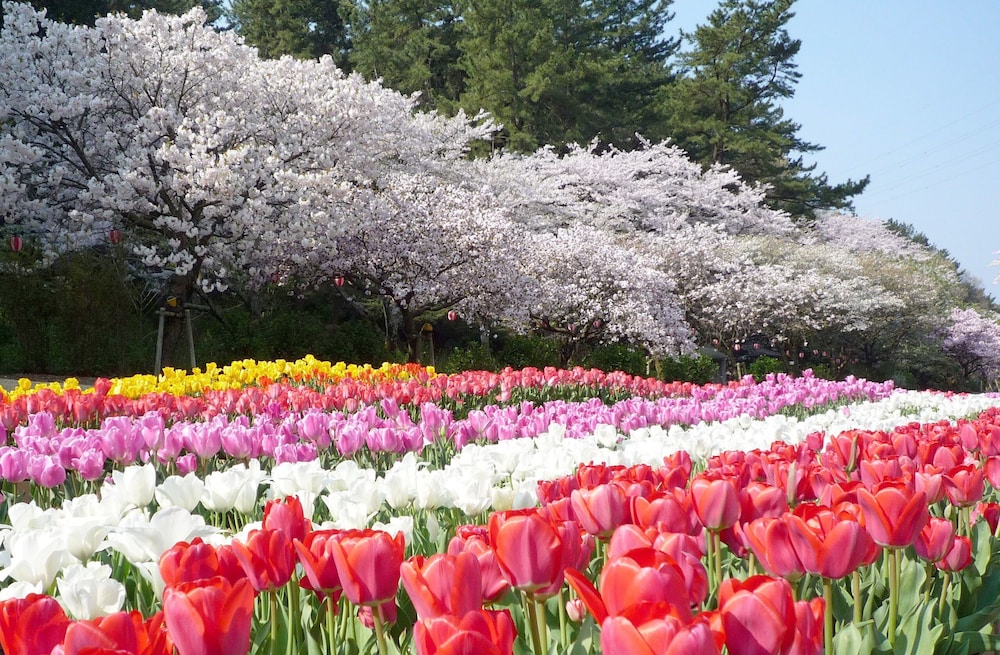 Grand Mercure Lake Hamana Resort & Spa 45/48
