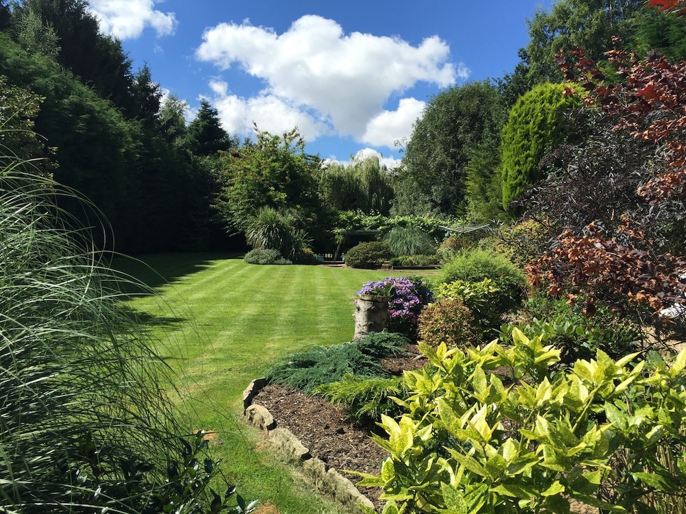 Beechwood B&amp;B 23/32