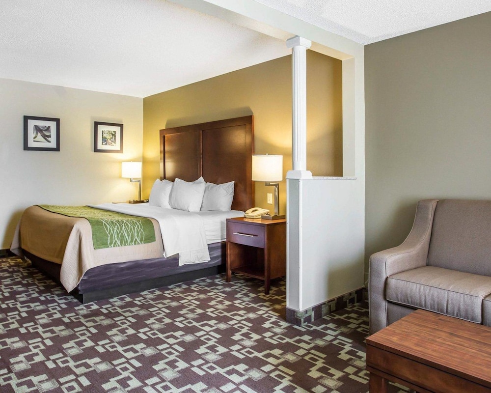 Comfort Inn & Suites Walterboro I-95 27/63