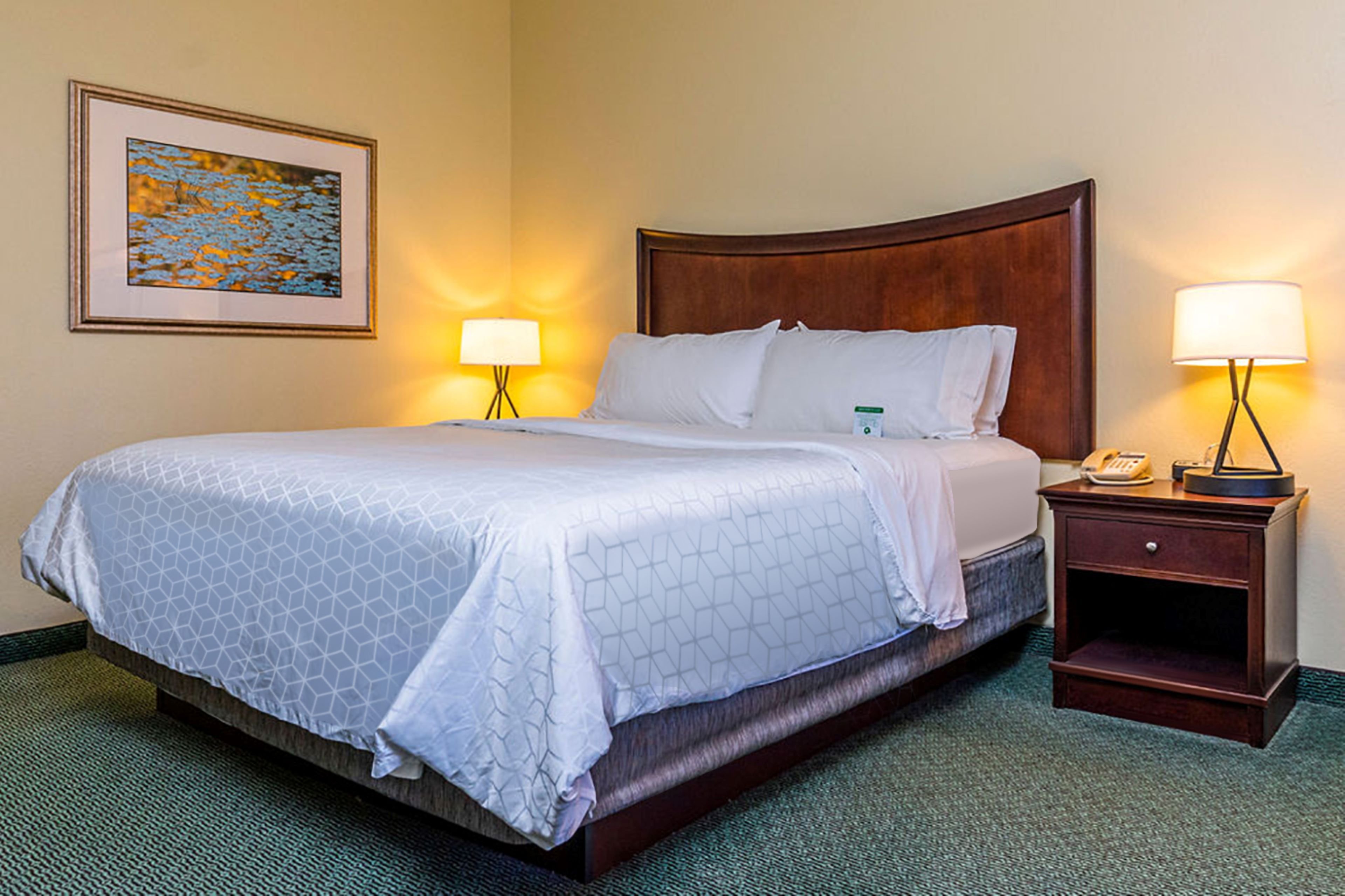 Holiday Inn Express Indianapolis Airport 24/80