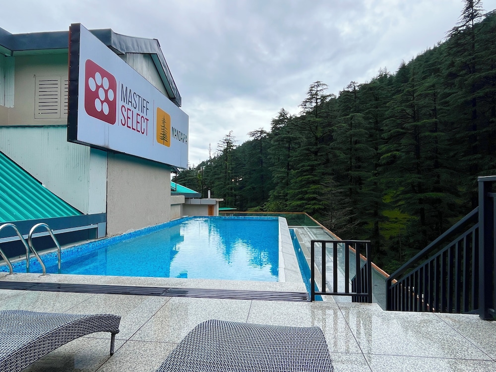 Mastiff Select Mandavya Dharamkot, McLeodganj 58/61