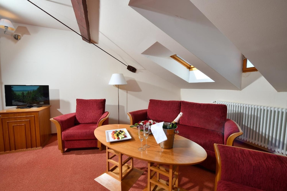 Hotel Dvorak Tabor 27/50