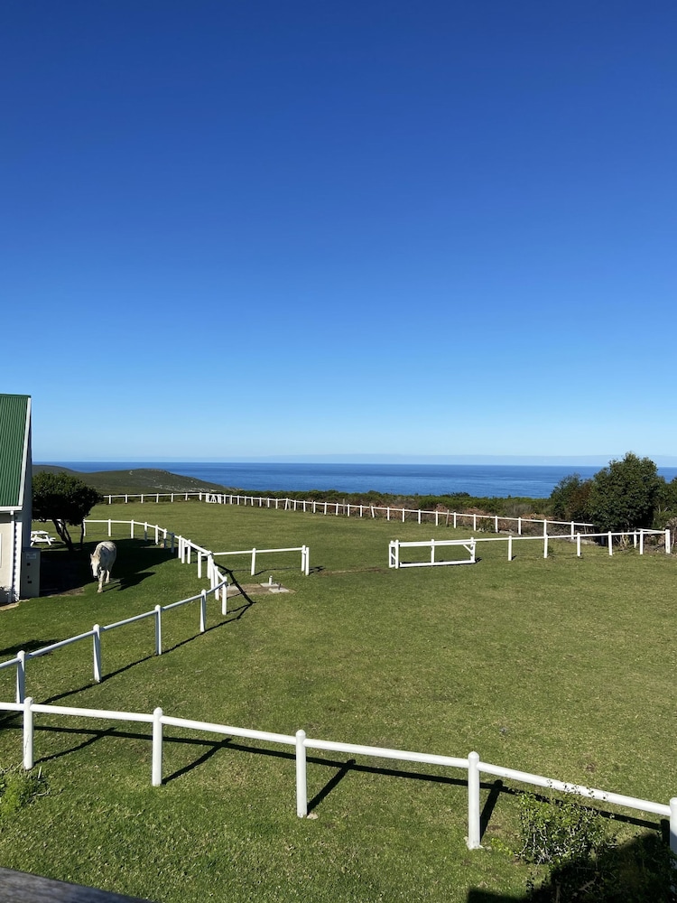 T'niqua Stable Inn 34/50