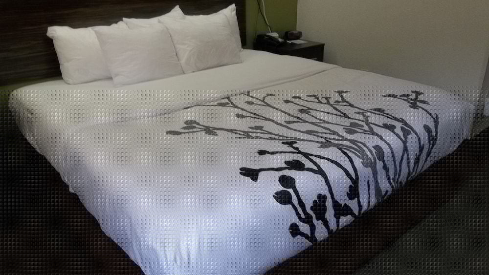 Sleep Inn Bryson City - Cherokee Area 18/33