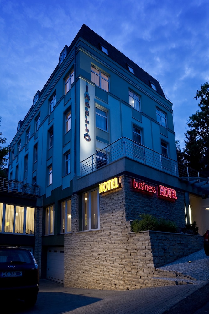 Jagello Business Hotel 1/39