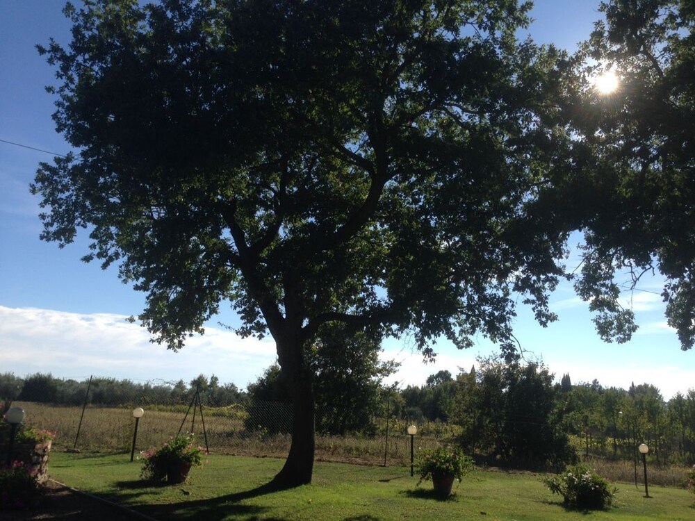 Agriturismo Podere Delle Querci 39/47