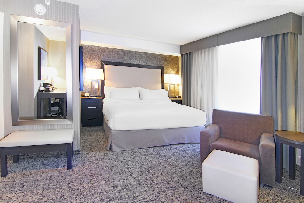 Holiday Inn Express Hotel & Suites Calgary 18/71