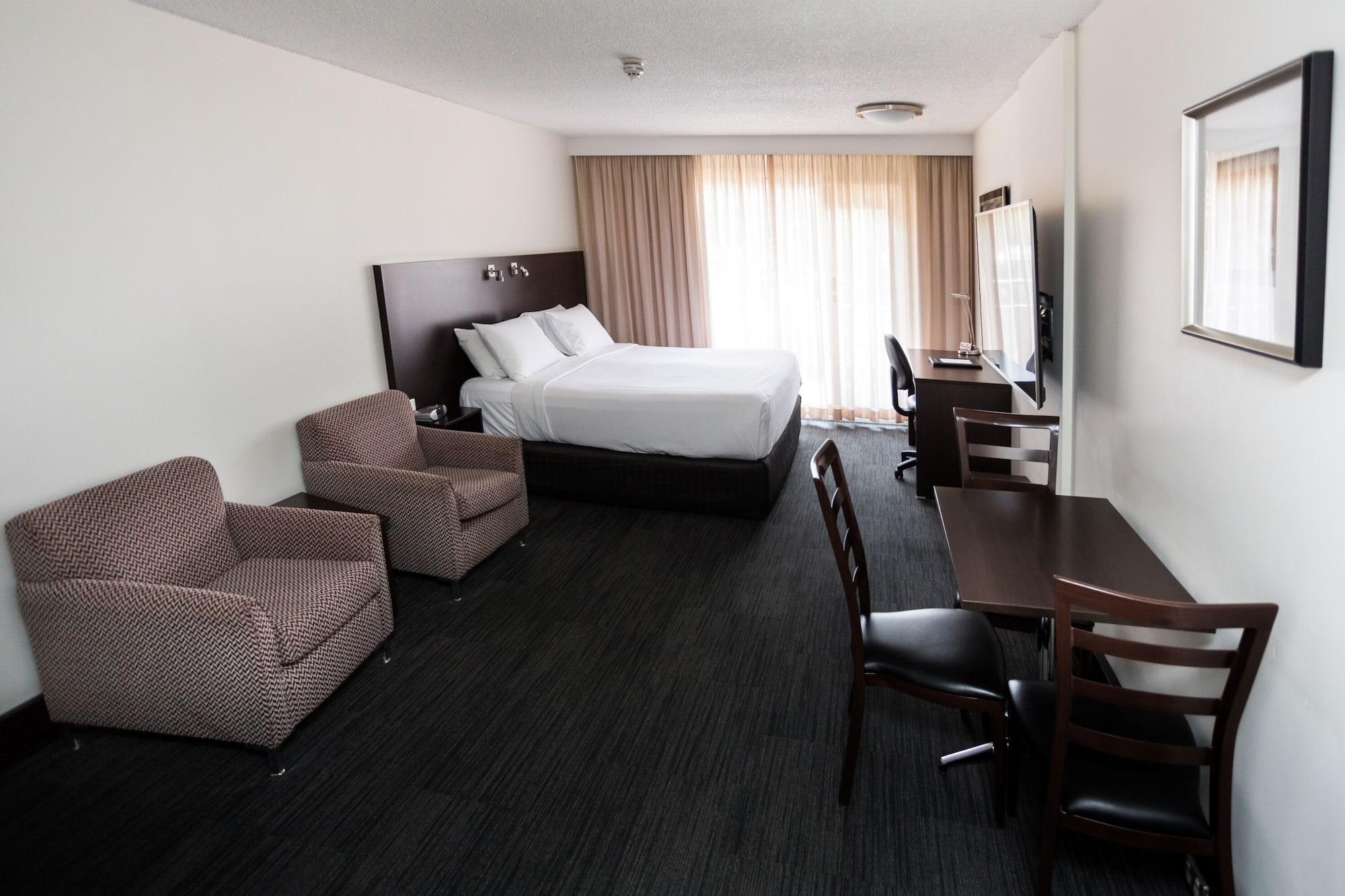 DELUXE, STUDIO, APARTMENT, QUEEN BED