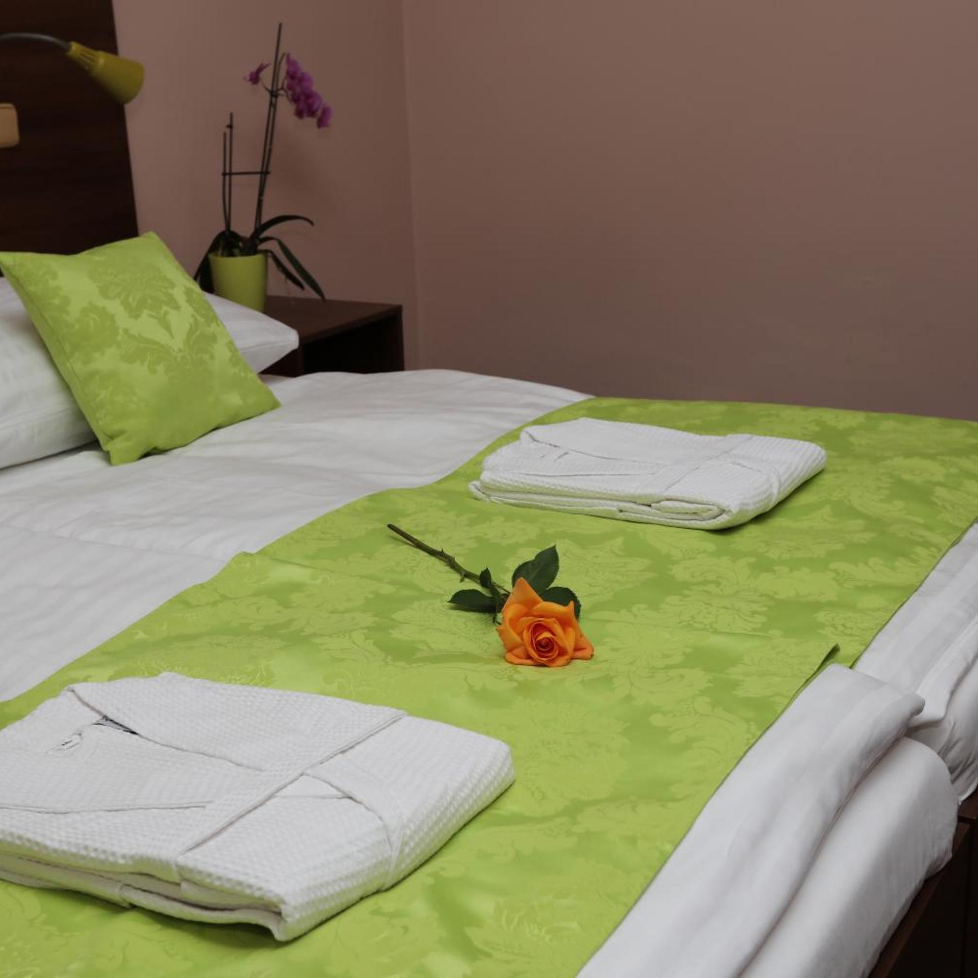 Zamecek Hotel 23/50