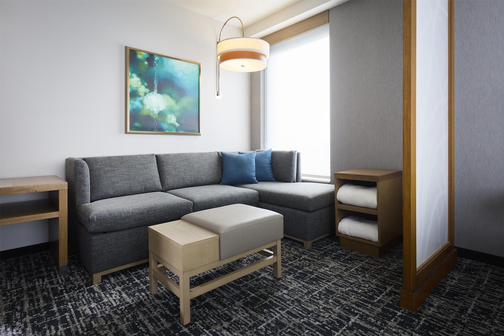 Hyatt Place New York/Yonkers 42/66