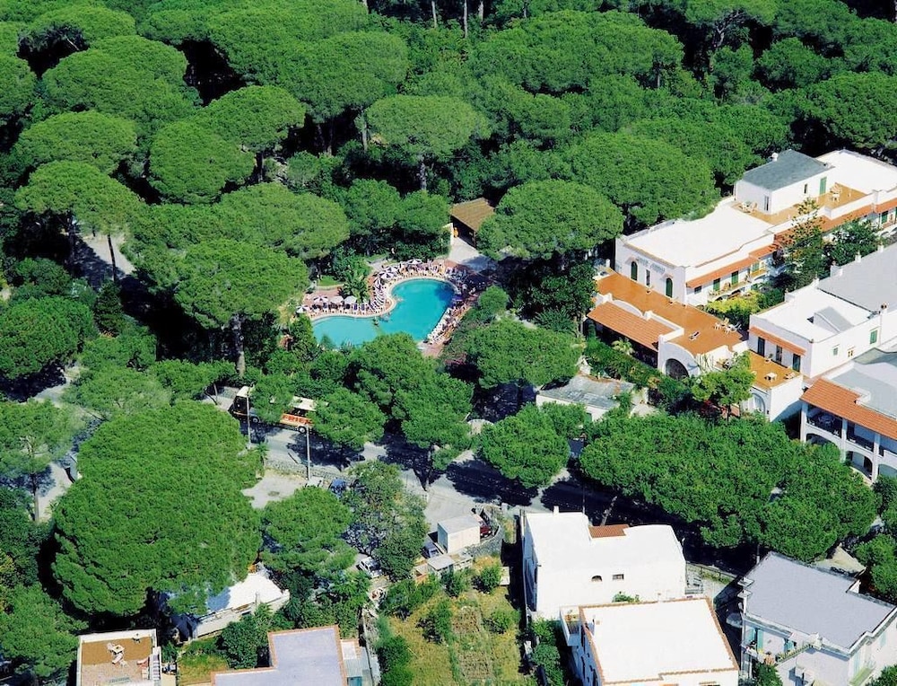 Hotel Pineta 47/54