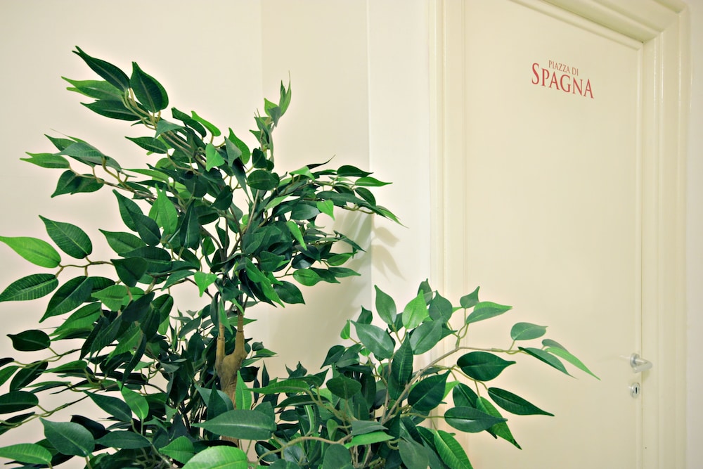 Le Piazze Di Roma Bed And Breakfast 37/47