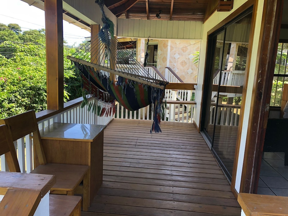 Coconut Tree West End 34/54
