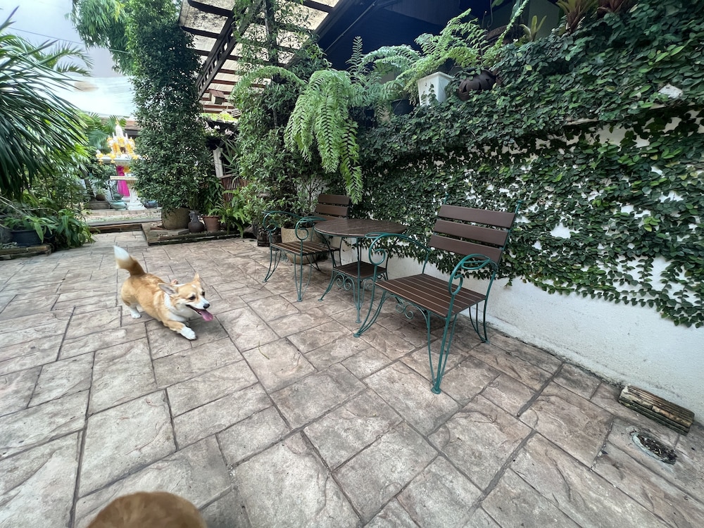 Pha Thai House 42/50