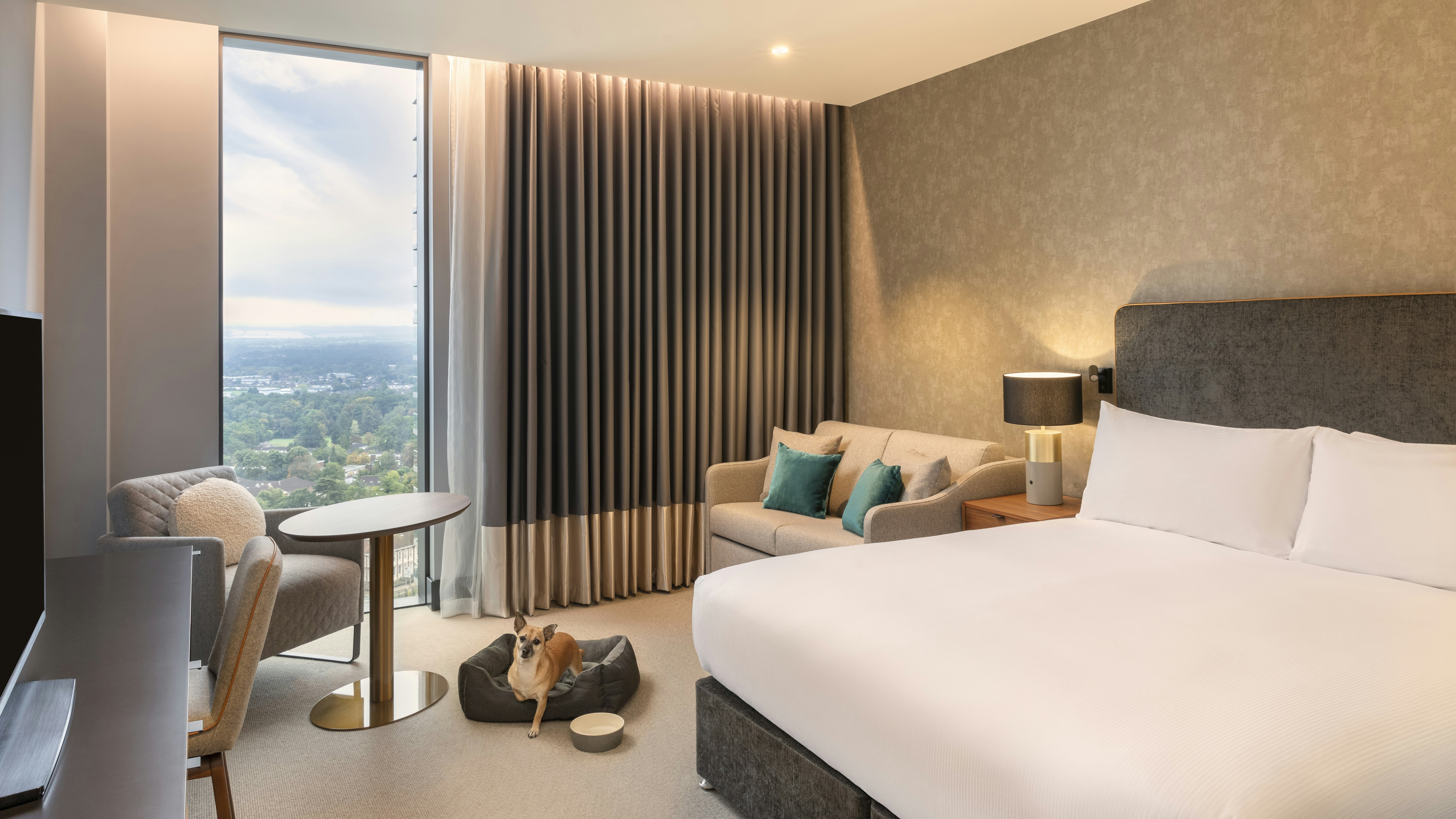 Hilton Woking 5/48