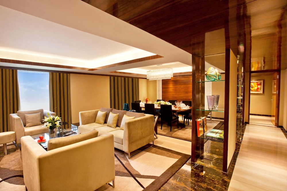 Radisson Blu Plaza Hotel Delhi Airport 53/76