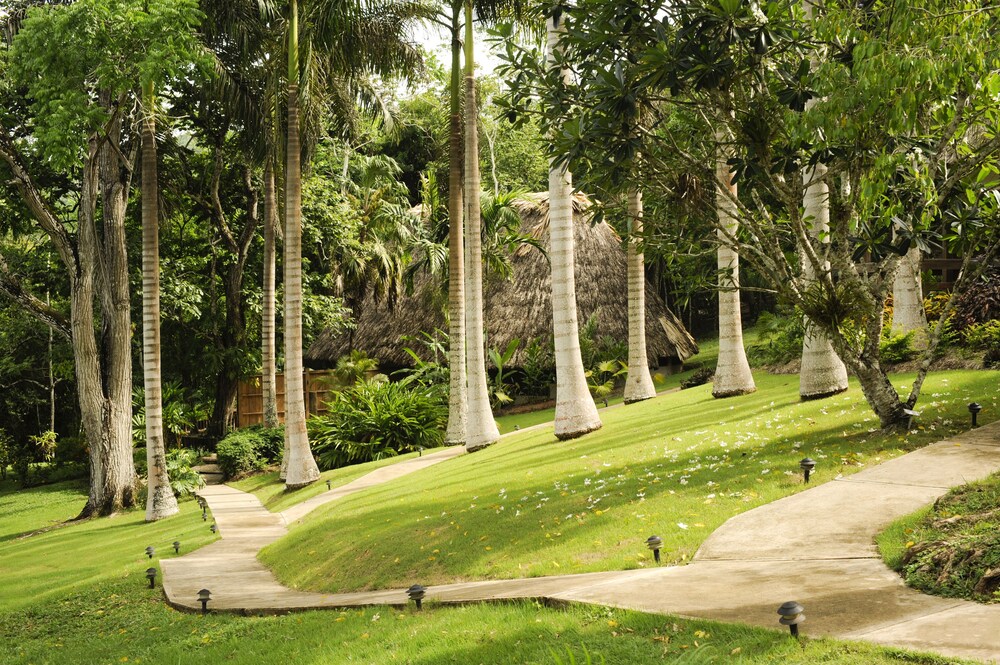 surroundings