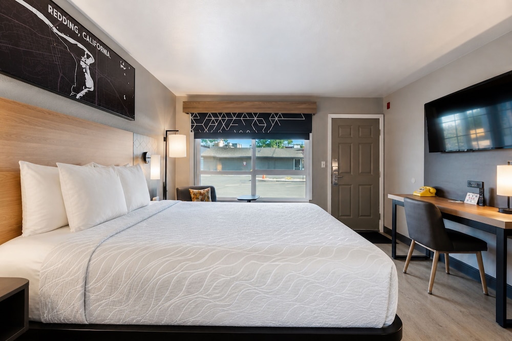Standard, Queen Bed, Pet Friendly