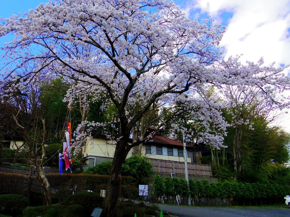 HIRAIZUMI HOTEL MUSASHIBO 14/37