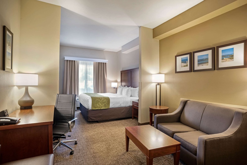 Comfort Suites Foley - North Gulf Shores 21/26