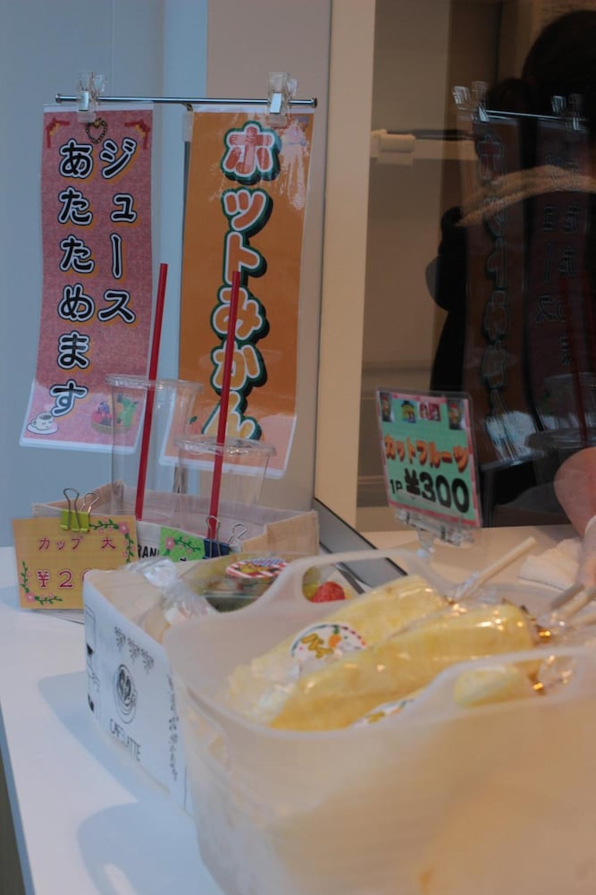 Guest House Coco Hiroshima - Hostel Caters To Women 19/44