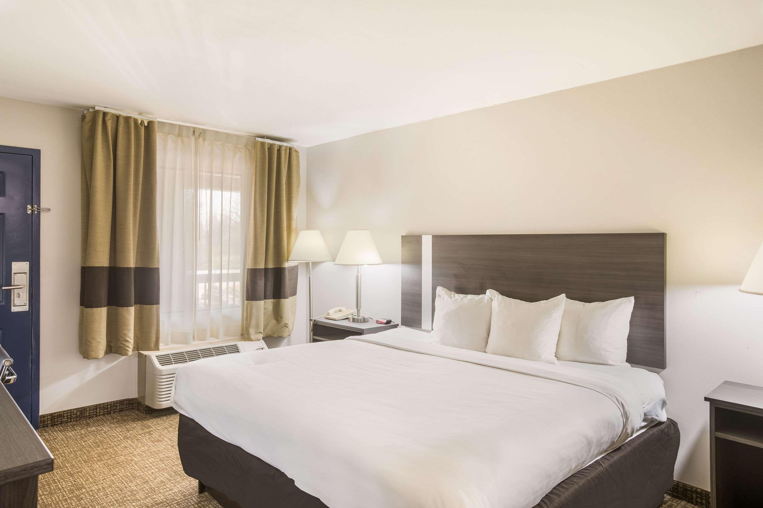 Room, King Bed