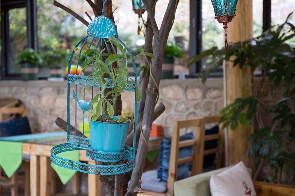 C'est La Vie Boutique Inn 40/50