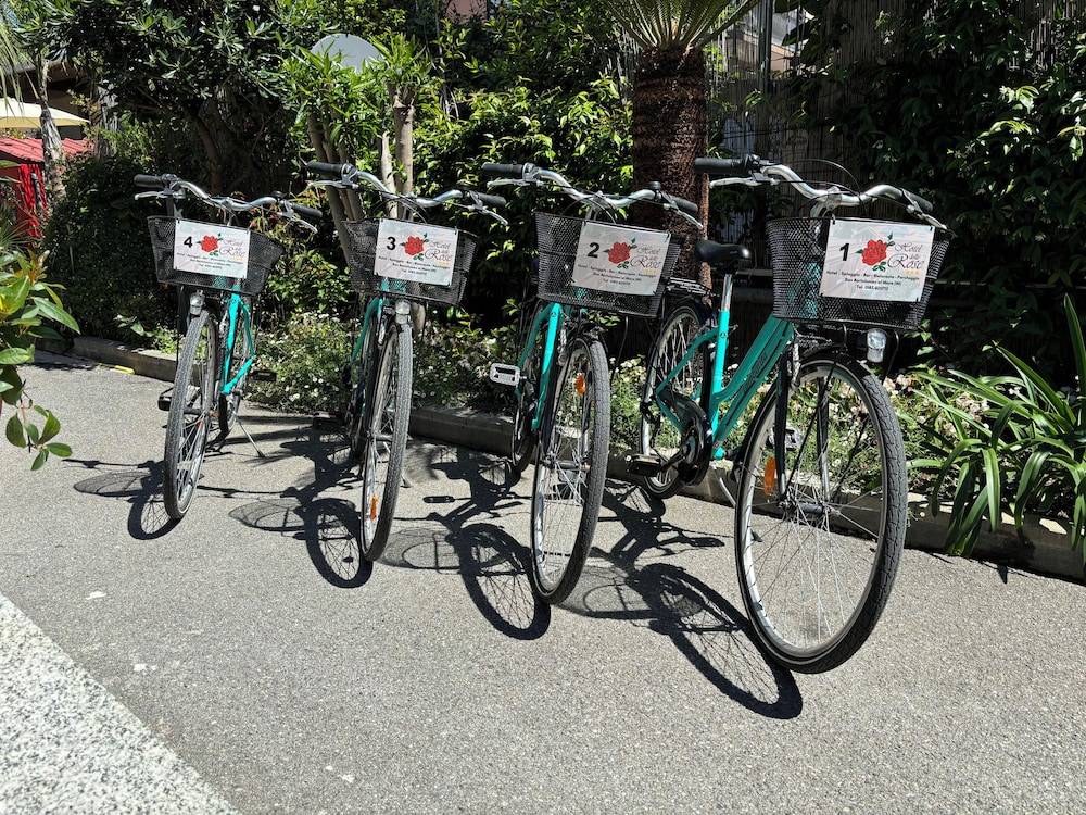 Hotel Delle Rose 25/50