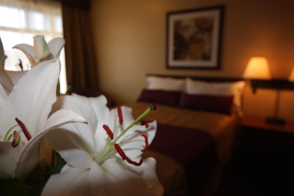 Motel Adam 40/70