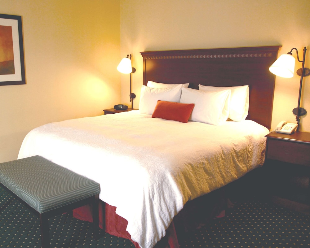 Hampton Inn And Suites Saginaw 16/45
