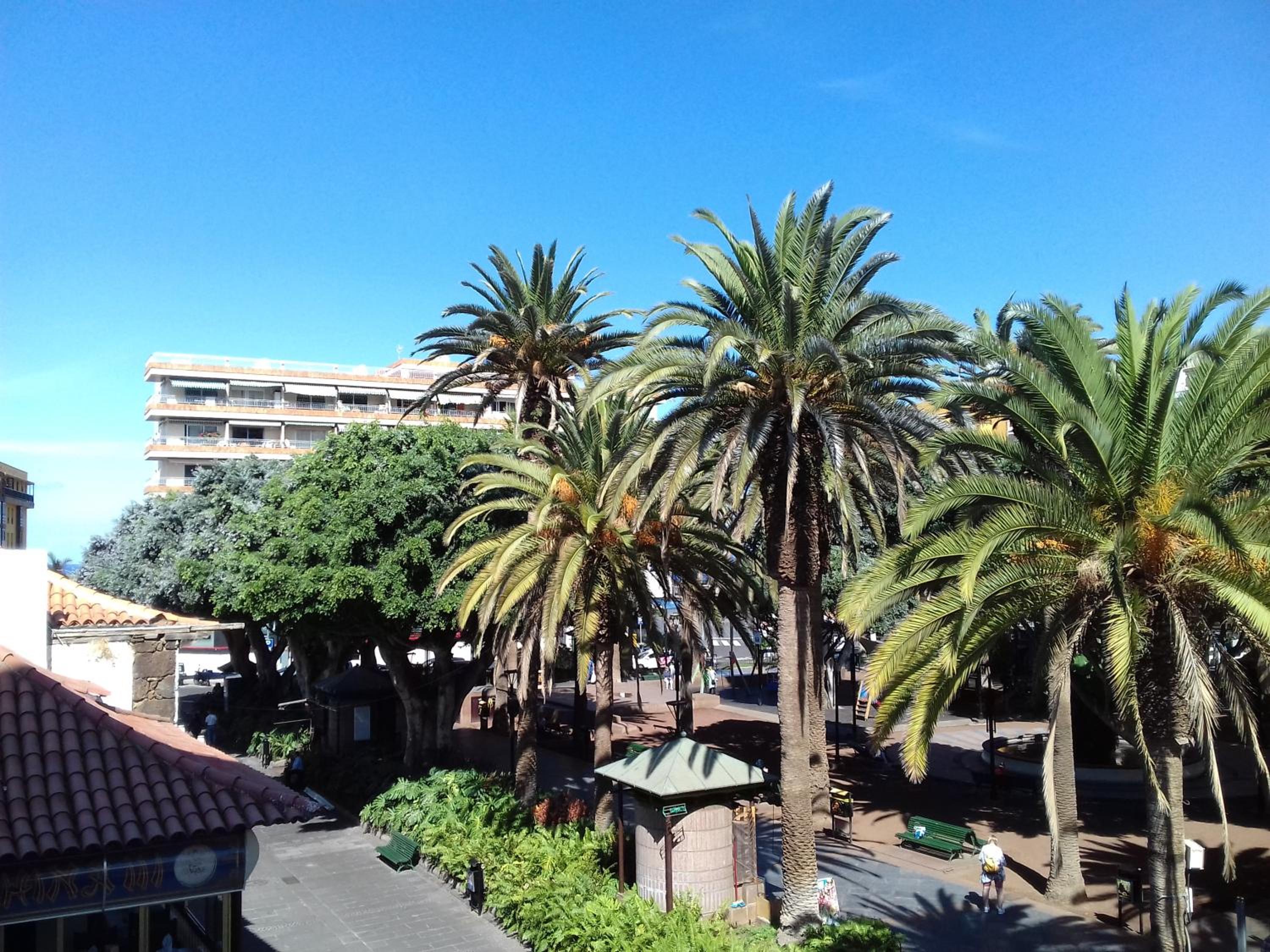 Hotel Tropical 47/56